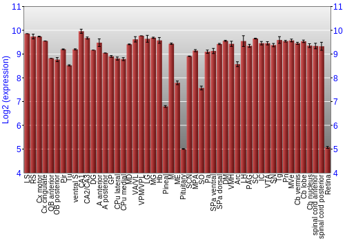 Expression graph