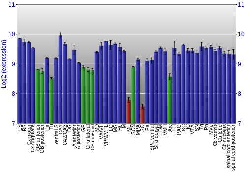 Multi-state expression graph