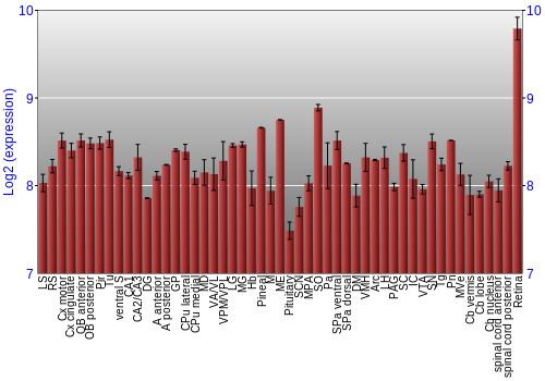 Expression graph