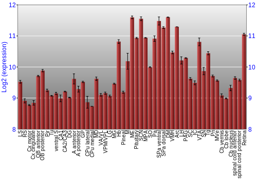Expression graph