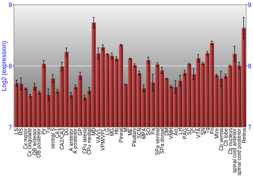 Expression graph