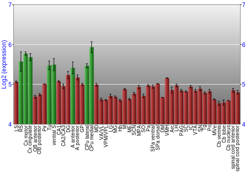 Multi-state expression graph