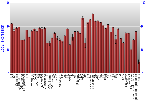 Expression graph