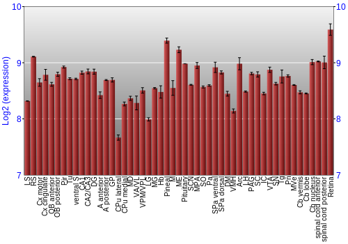 Expression graph