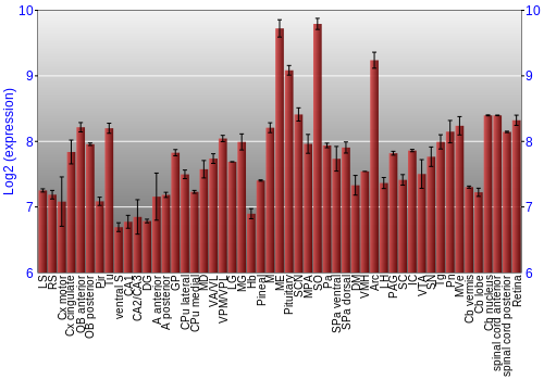 Expression graph