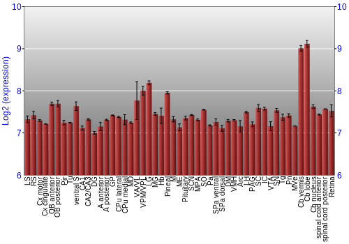Expression graph