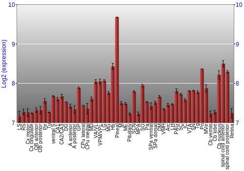 Expression graph