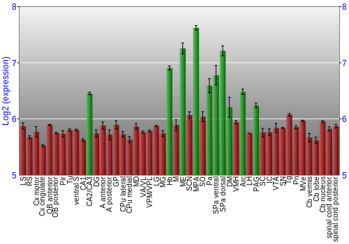 Multi-state expression graph