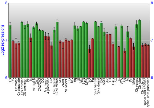 Multi-state expression graph