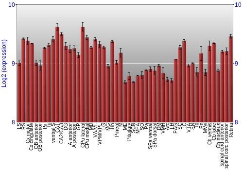 Expression graph