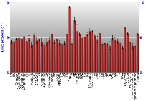 Expression graph