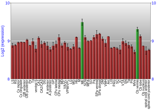 Multi-state expression graph
