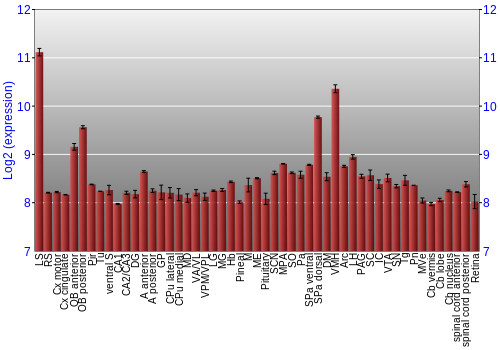 Expression graph