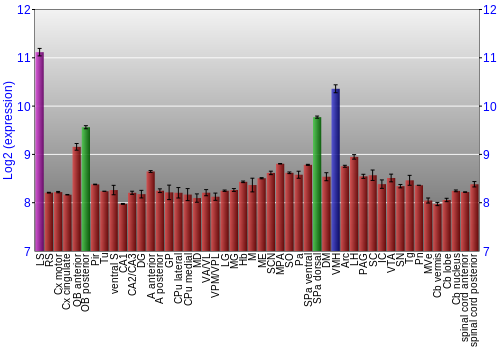 Multi-state expression graph