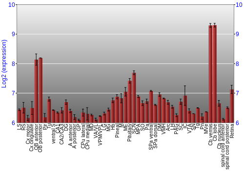 Expression graph