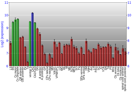 Multi-state expression graph