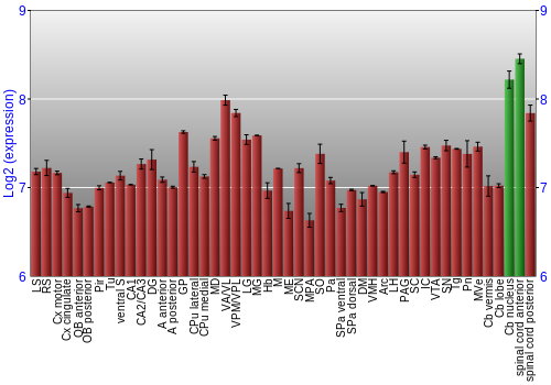 Multi-state expression graph