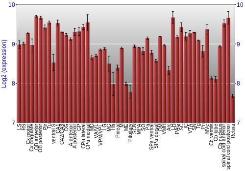 Expression graph
