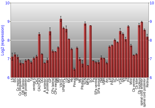 Expression graph