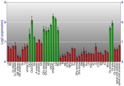 Multi-state expression graph