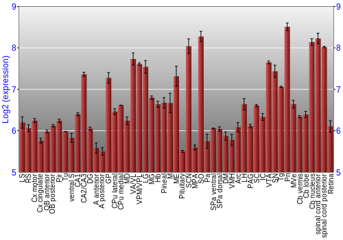 Expression graph