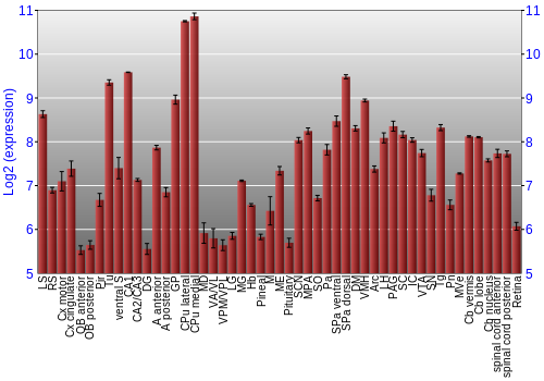 Expression graph