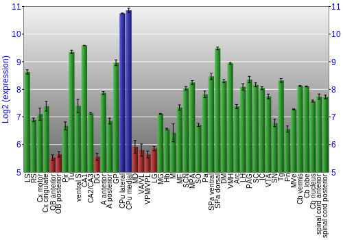 Multi-state expression graph