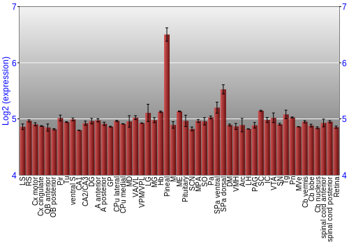 Expression graph