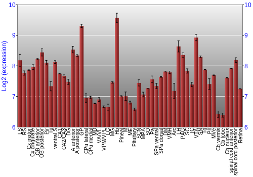 Expression graph