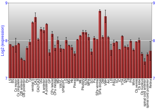 Expression graph