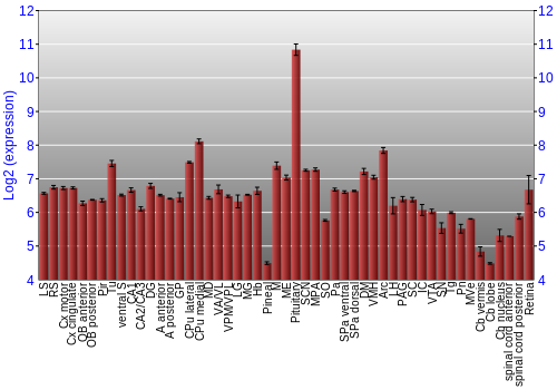 Expression graph