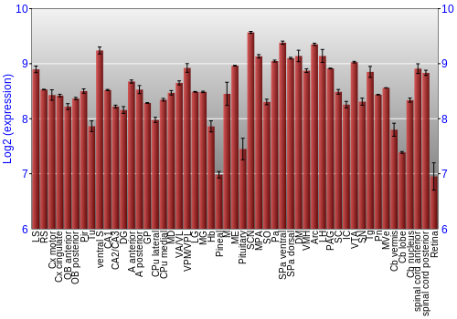Expression graph