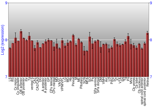 Expression graph