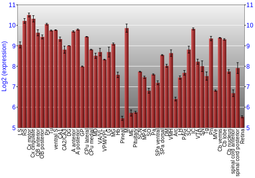 Expression graph