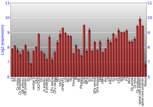 Expression graph