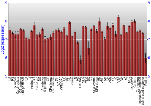 Expression graph