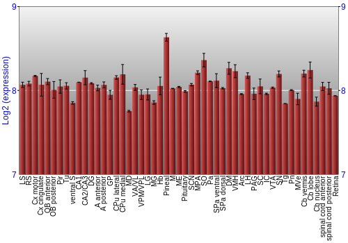 Expression graph