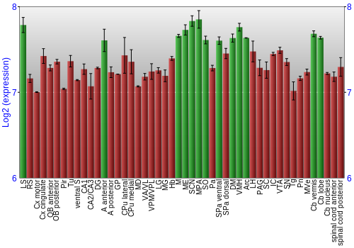 Multi-state expression graph