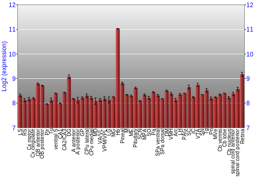 Expression graph