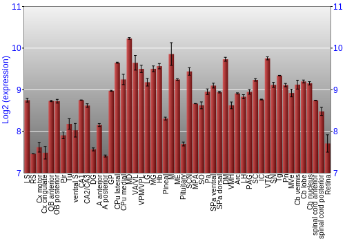 Expression graph