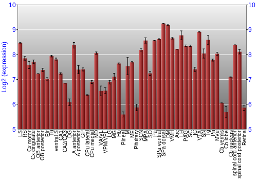 Expression graph