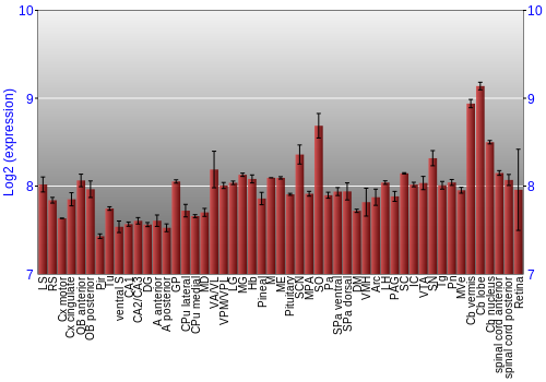 Expression graph
