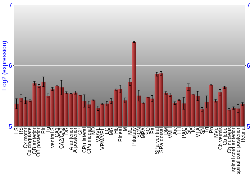 Expression graph