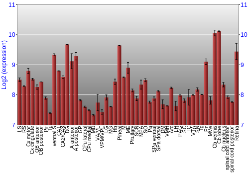 Expression graph