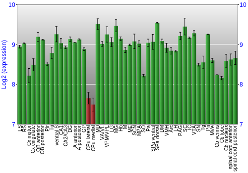 Multi-state expression graph