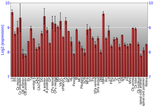 Expression graph