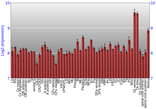 Expression graph