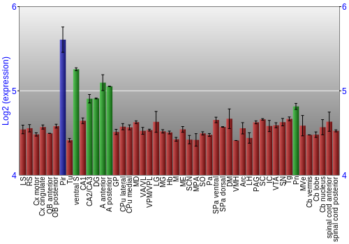 Multi-state expression graph