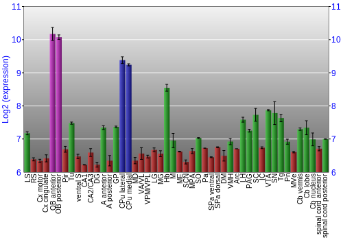Multi-state expression graph