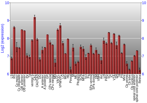 Expression graph
